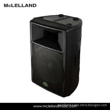 Active Speaker (Perception 15A)
